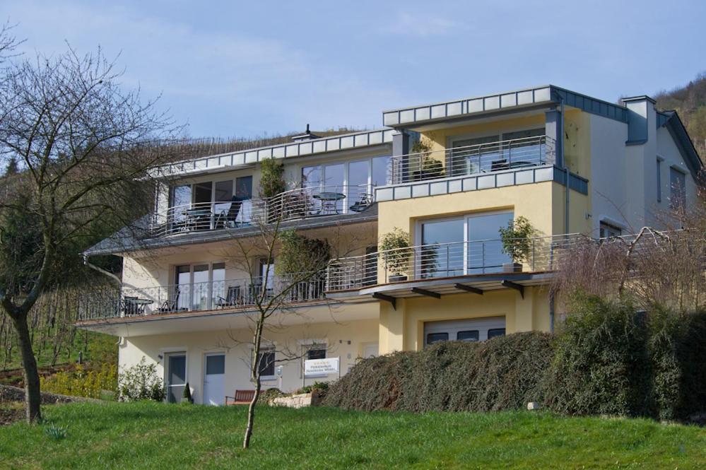 Ferienhaus Panorama Mosel Reil Eksteriør bilde